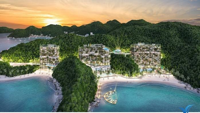Vịnh Lan Hạ Thuộc Tỉnh Nào