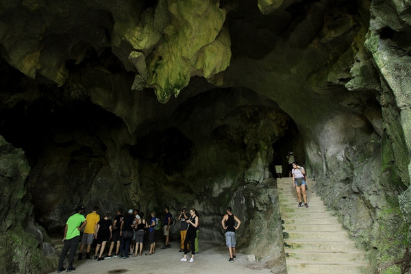 Hang động Trung Trang là ngôi nhà của nhiều loài sinh vật