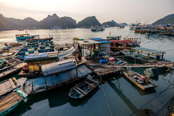 Làng chài cổ Cái Bèo với hơn 500 hộ dân sinh sống trên những ngôi nhà nổi san sát