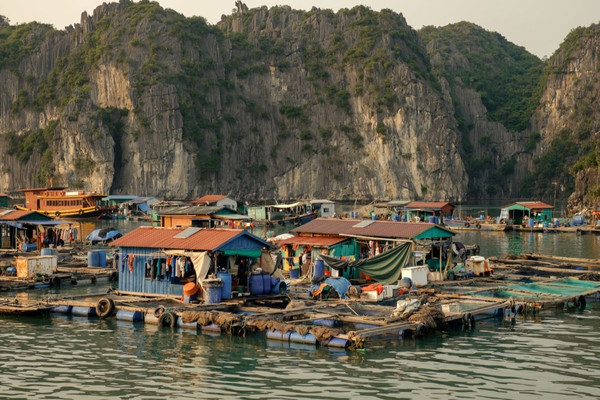 Làng chài Cái Bèo trở thành một trong những di chỉ tiền sử quan trọng nhất vùng Cát Bà