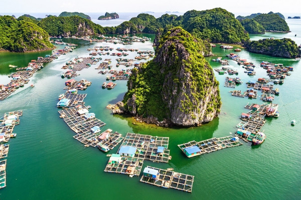 Làng chài Cái Bèo mang vẻ đẹp hoang sơ và bình yên hiếm có