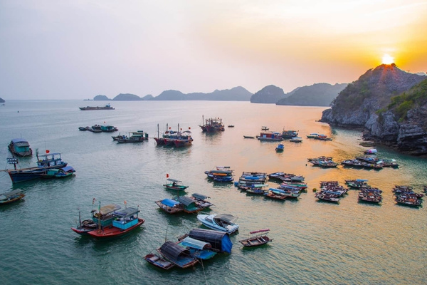 Hoà mình vào không khí chợ nổi nhộn nhịp khi đến vịnh Lan Hạ Cát Bà