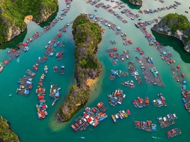 Lý do nên lựa chọn địa điểm cảng Cái Bèo
