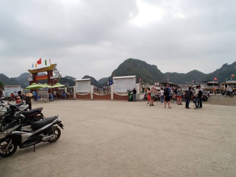 Bến Bèo Cát Bà có nhiều phương tiện di chuyển cho du khách lựa chọn