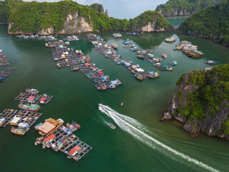 Làng chài Cái Bèo nhìn từ trên cao giữa vịnh Lan Hạ