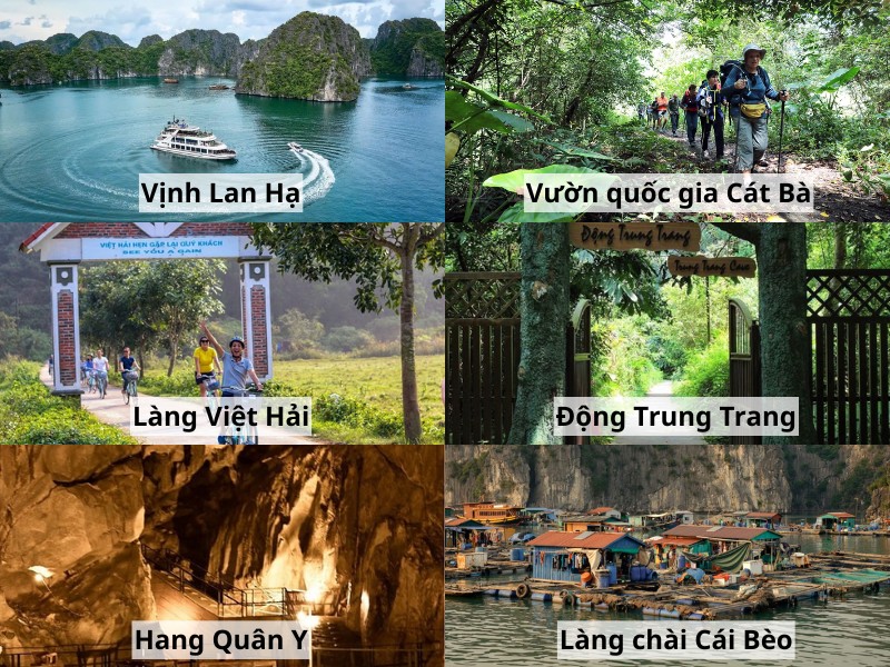 Hệ sinh thái ở Cát Bà đa dạng với các điểm đến hấp dẫn