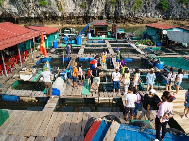 Bạn có thể đến Cát Bà bằng nhiều phương tiện