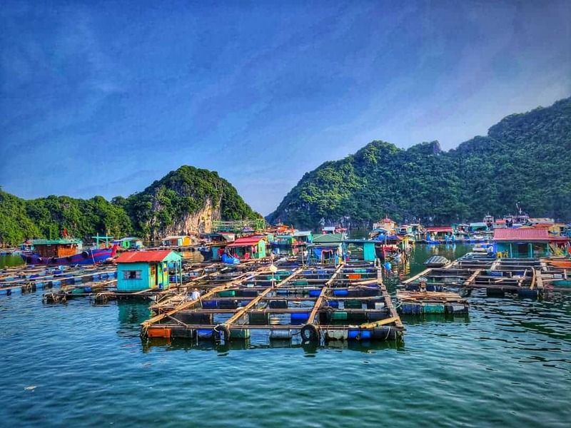 Vị trí của Làng chài Cửa Vạn