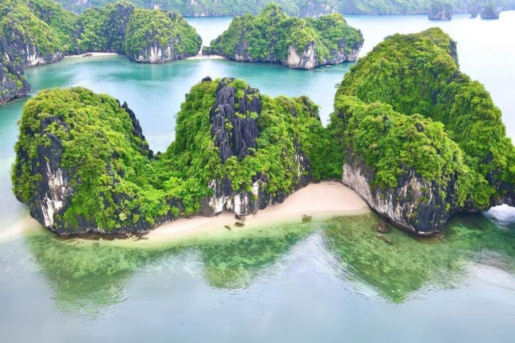 lan ha bay luxury cruise