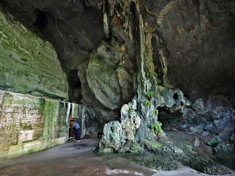 Vị trí Hang Quân Y Cát Bà