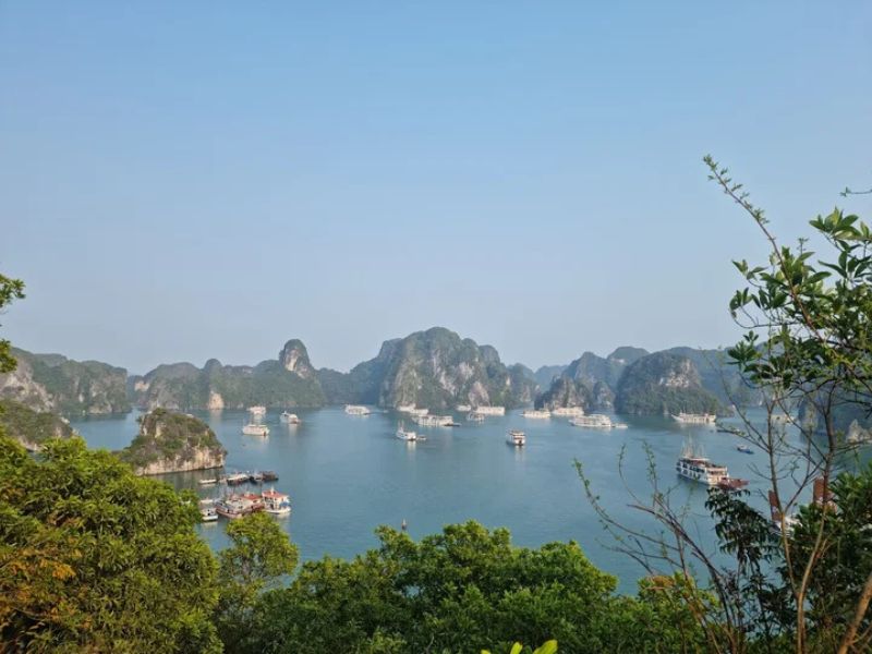 Hướng dẫn chi tiết cách di chuyển đến làng chài Trà Báu